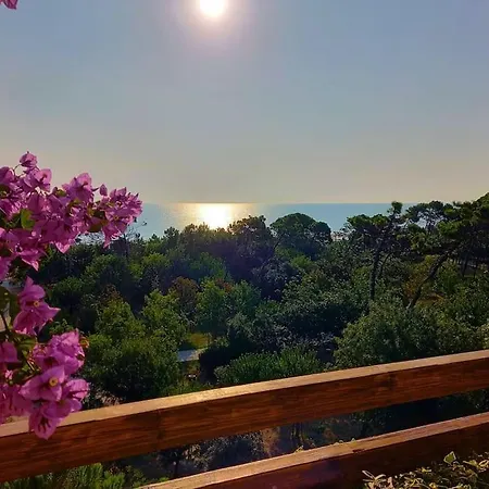 Apartman Vista Mare - Casa Con Terrazzo E Parcheggio Gratuito
